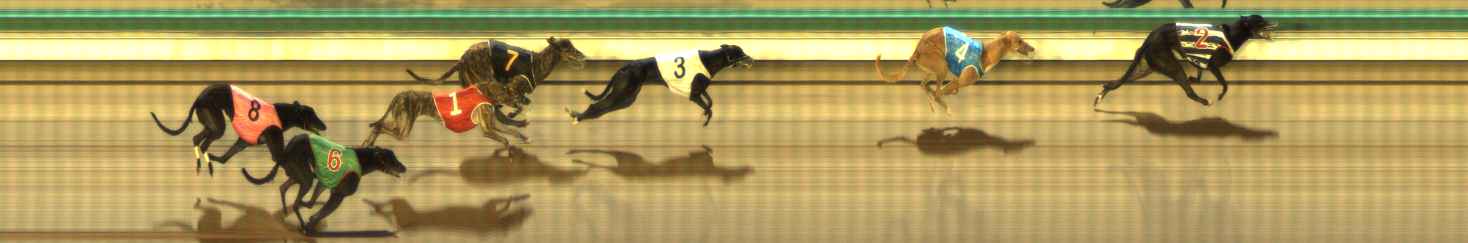Photo finish for The Meadows Race 10