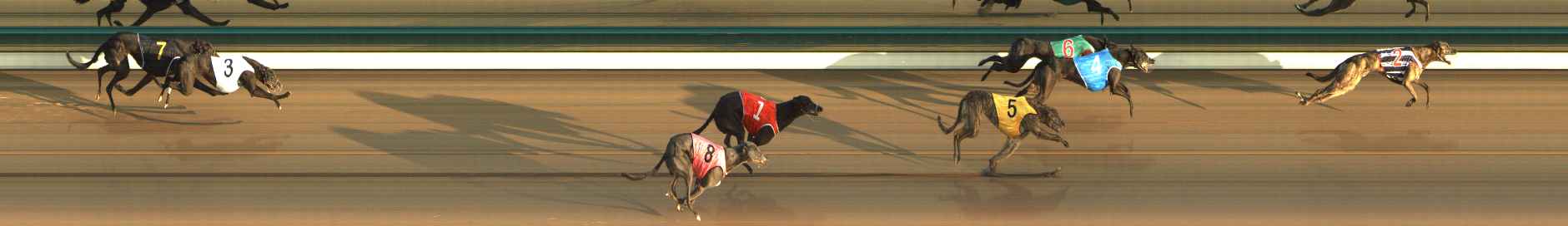 Photo finish for The Meadows Race 3