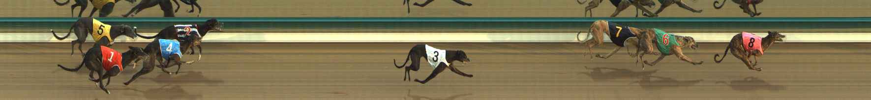 Photo finish for The Meadows Race 4