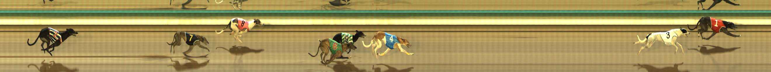 Photo finish for The Meadows Race 6