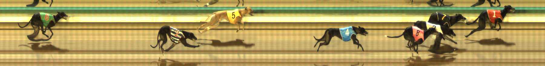 Photo finish for The Meadows Race 7