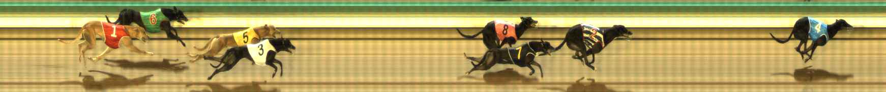 Photo finish for The Meadows Race 9