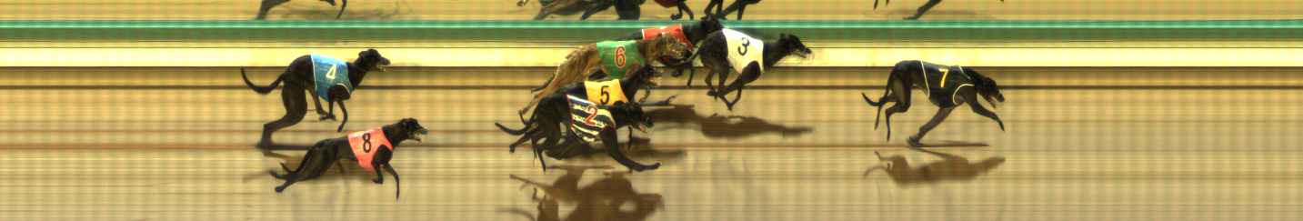Photo finish for The Meadows Race 10