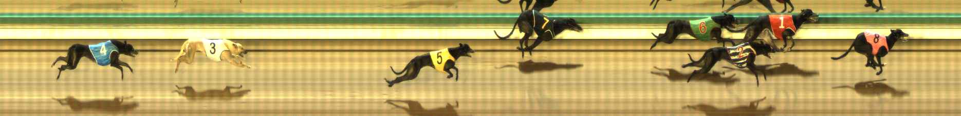Photo finish for The Meadows Race 11