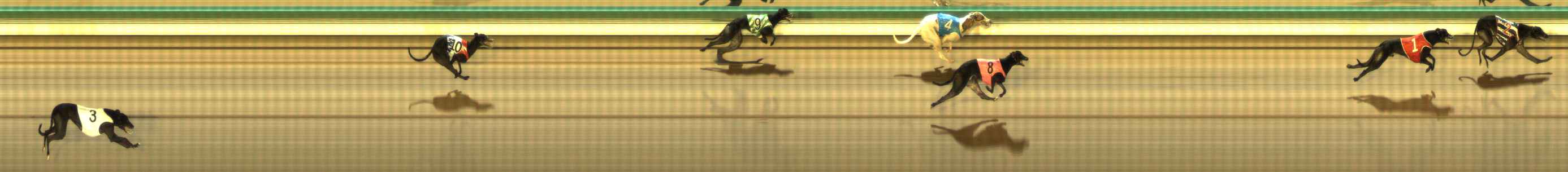 Photo finish for The Meadows Race 12