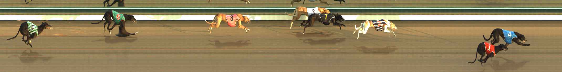 Photo finish for The Meadows Race 4
