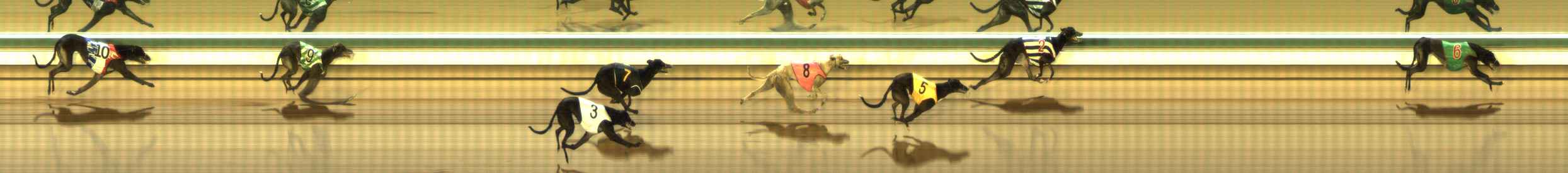 Photo finish for The Meadows Race 6