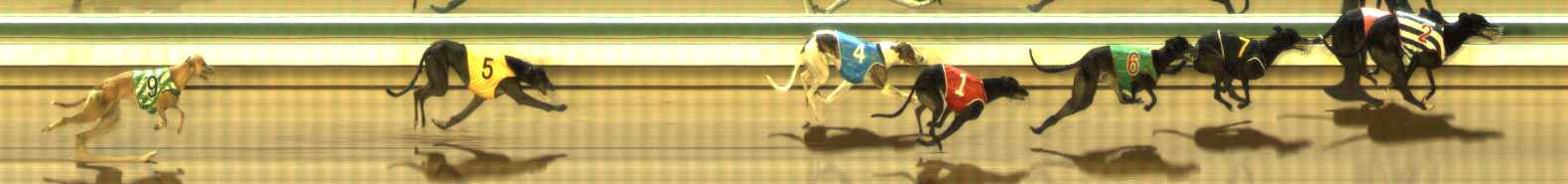 Photo finish for The Meadows Race 7