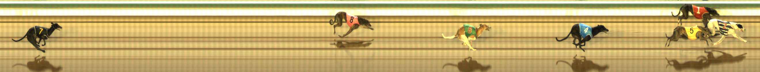 Photo finish for The Meadows Race 8