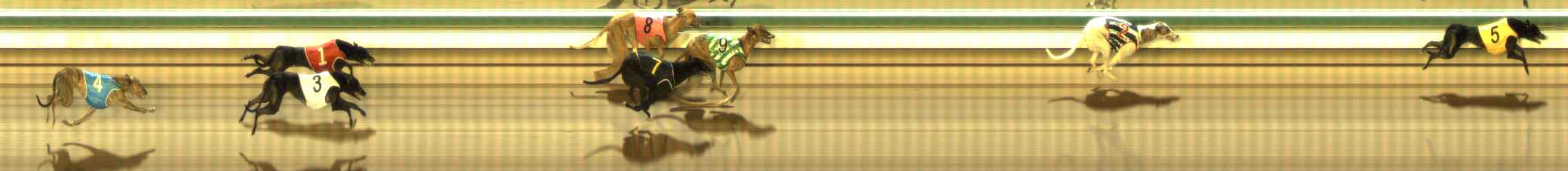 Photo finish for The Meadows Race 10