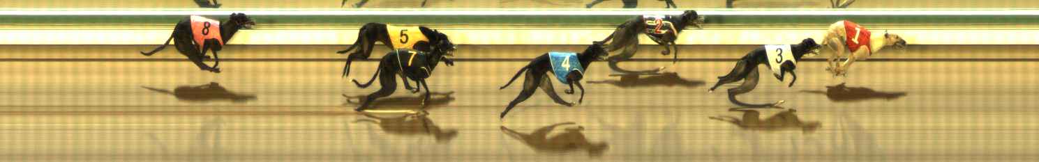 Photo finish for The Meadows Race 11
