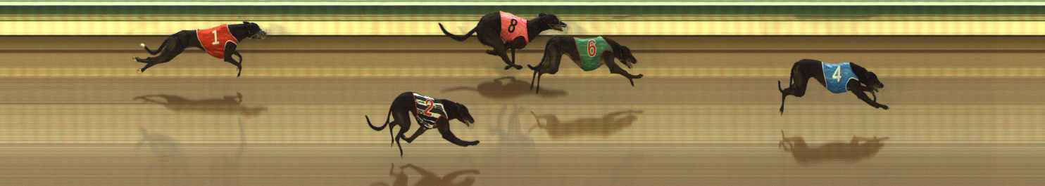 Photo finish for The Meadows Race 2