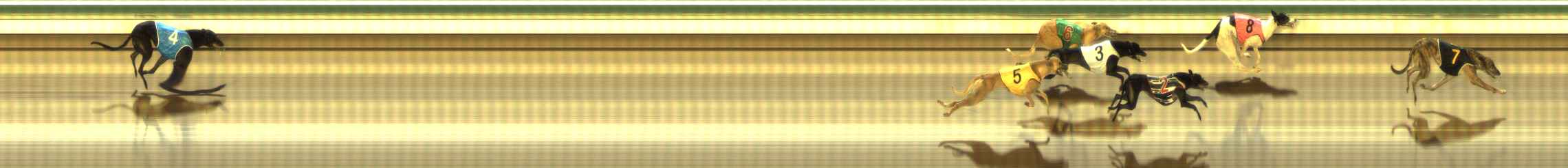 Photo finish for The Meadows Race 4