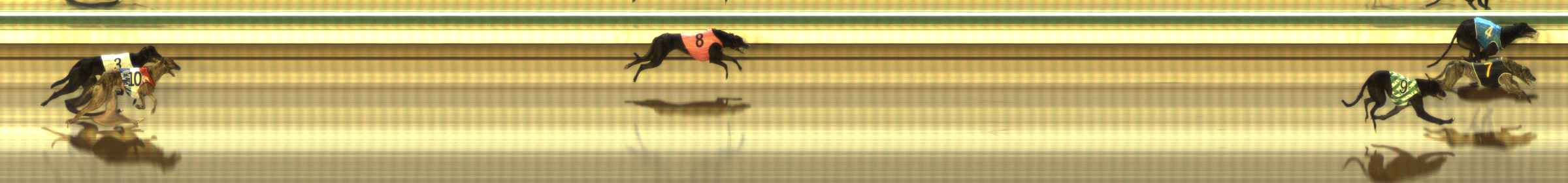 Photo finish for The Meadows Race 5