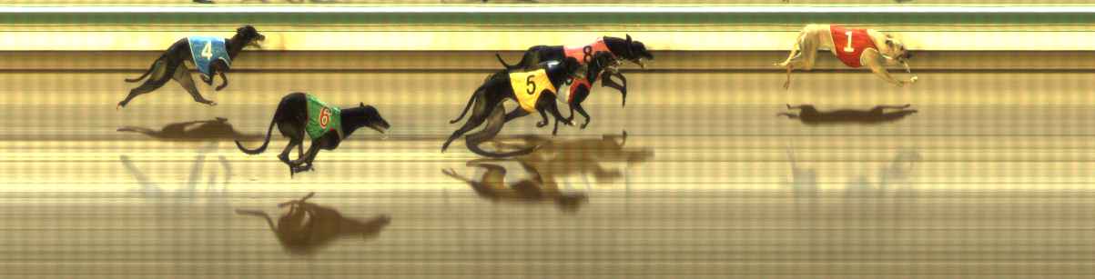 Photo finish for The Meadows Race 6