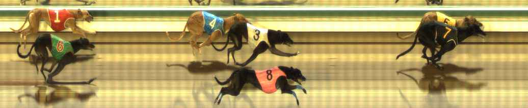 Photo finish for The Meadows Race 7