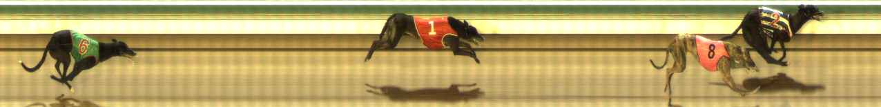 Photo finish for The Meadows Race 9