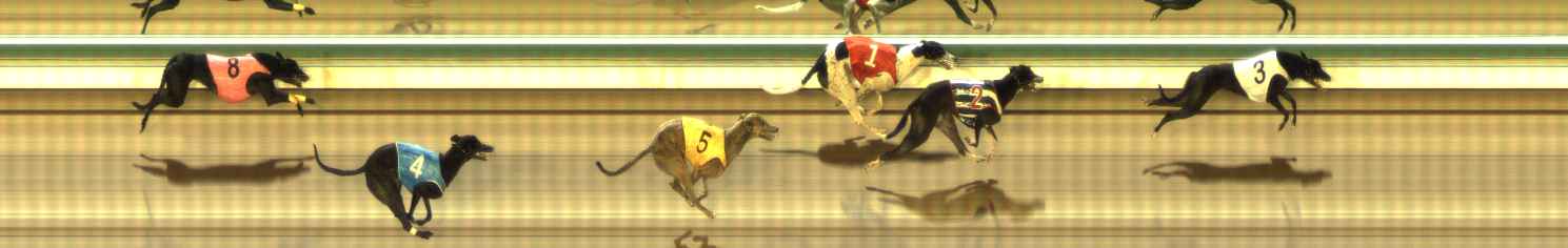 Photo finish for The Meadows Race 11