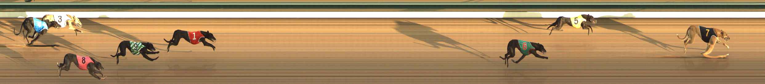 Photo finish for The Meadows Race 1