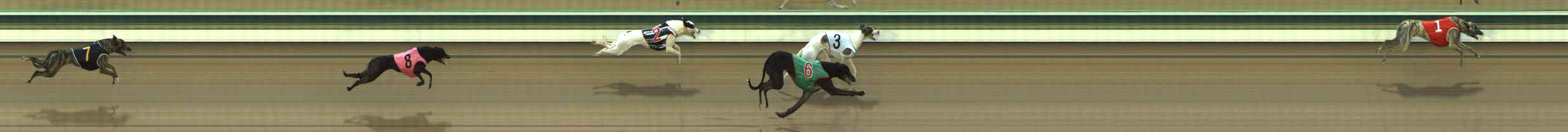 Photo finish for The Meadows Race 2
