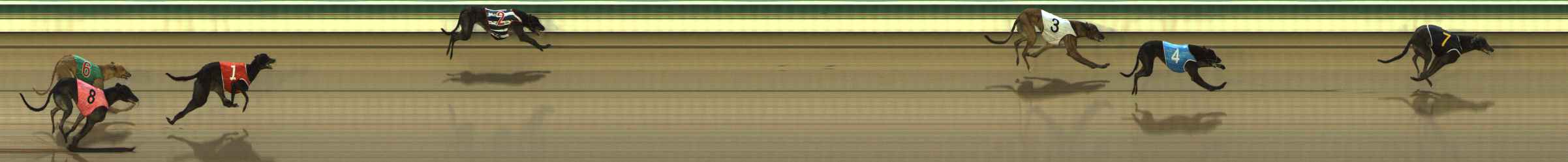 Photo finish for The Meadows Race 3