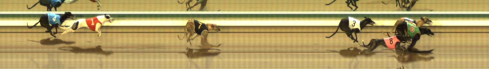 Photo finish for The Meadows Race 4