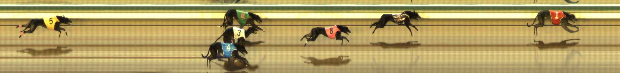 Photo finish for The Meadows Race 5