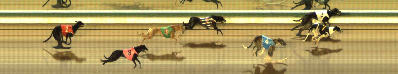 Photo finish for The Meadows Race 6