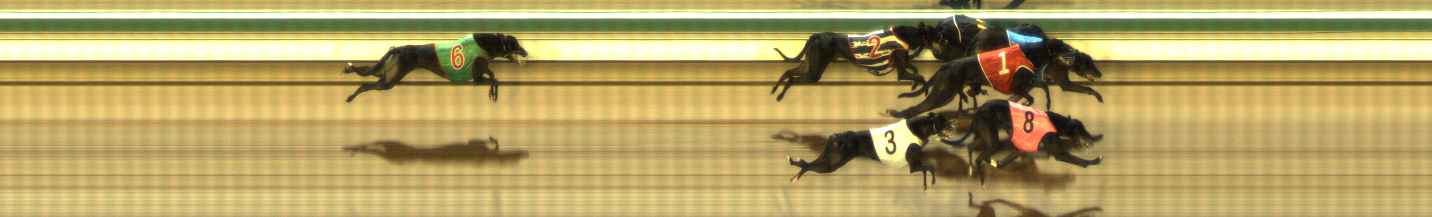 Photo finish for The Meadows Race 8