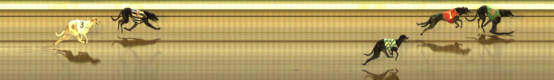 Photo finish for The Meadows Race 9
