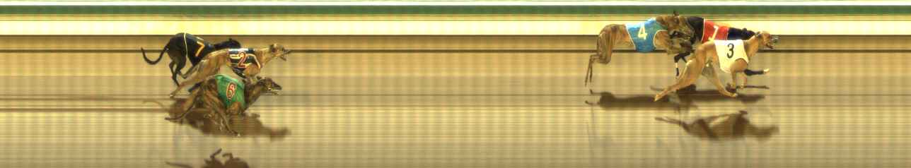 Photo finish for The Meadows Race 10