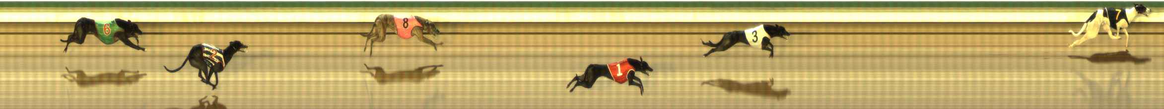 Photo finish for The Meadows Race 11