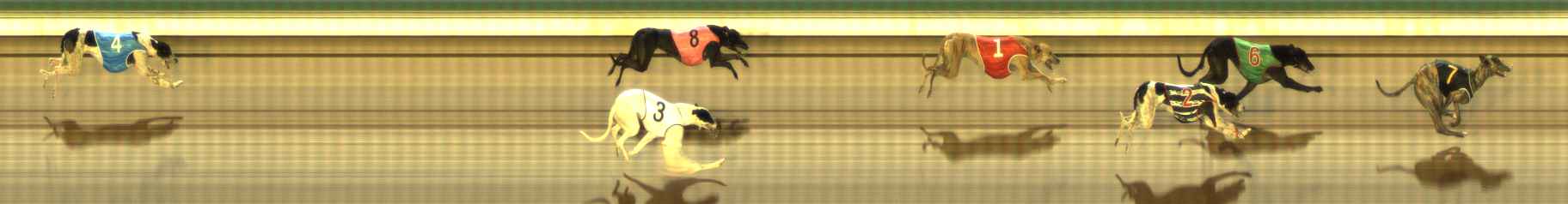 Photo finish for The Meadows Race 12