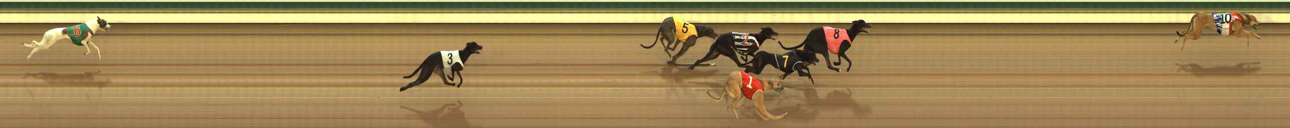 Photo finish for The Meadows Race 1