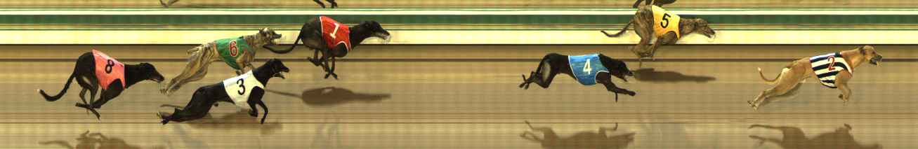 Photo finish for The Meadows Race 2