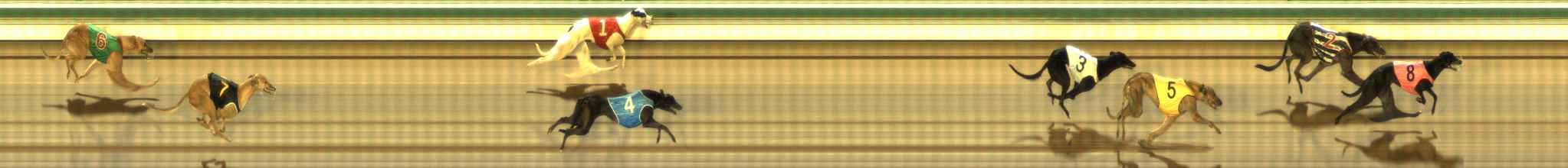 Photo finish for The Meadows Race 3