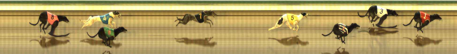 Photo finish for The Meadows Race 4