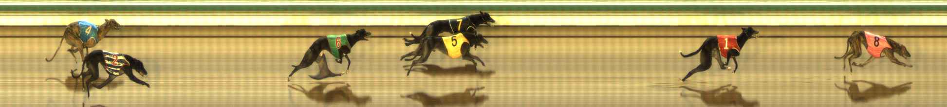Photo finish for The Meadows Race 5