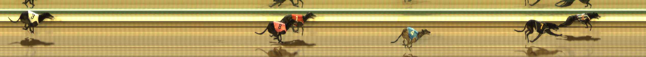 Photo finish for The Meadows Race 7