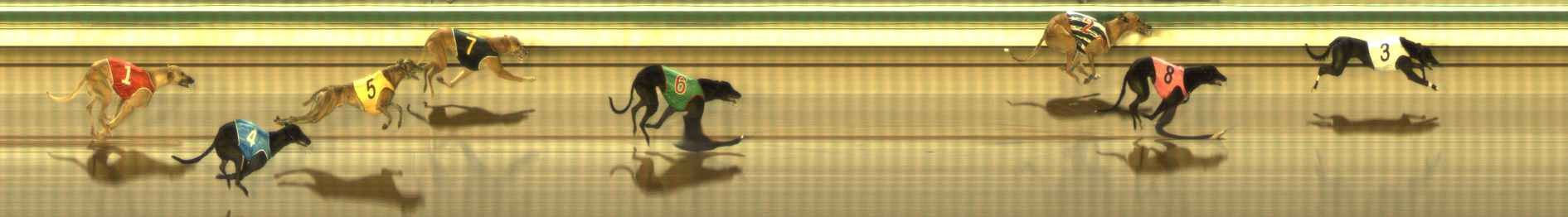 Photo finish for The Meadows Race 9
