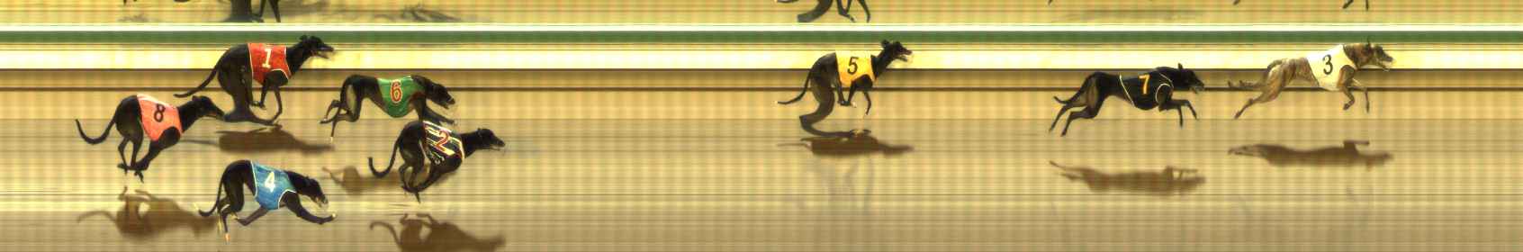 Photo finish for The Meadows Race 10
