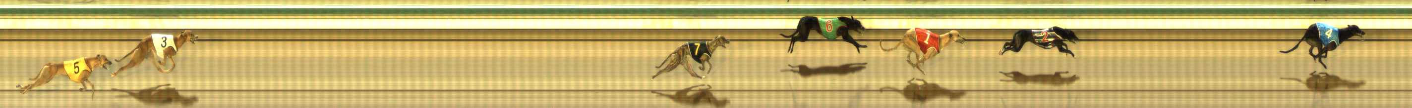 Photo finish for The Meadows Race 11