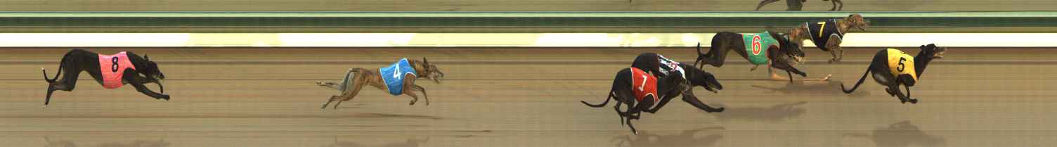 Photo finish for The Meadows Race 1