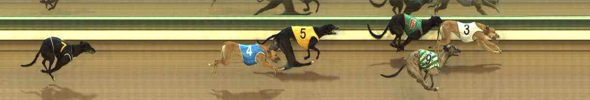Photo finish for The Meadows Race 2
