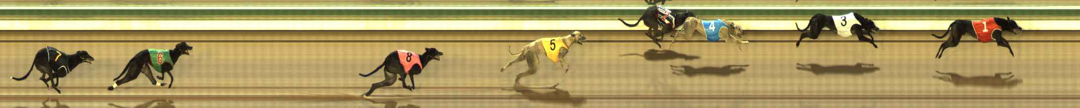 Photo finish for The Meadows Race 3