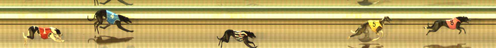 Photo finish for The Meadows Race 4