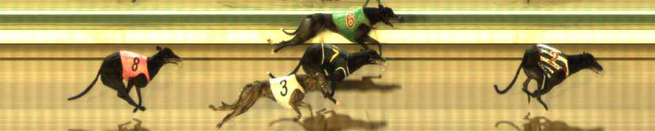 Photo finish for The Meadows Race 5