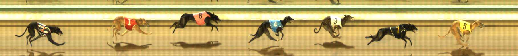 Photo finish for The Meadows Race 6