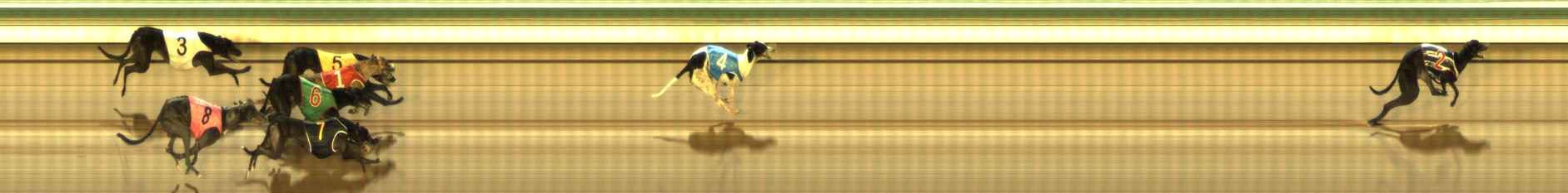 Photo finish for The Meadows Race 8