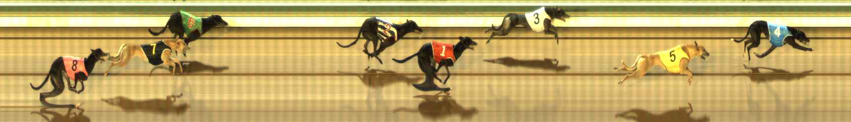 Photo finish for The Meadows Race 9